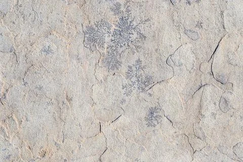 Texture of old concrete wall for background Stock Photos
