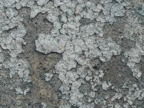Texture of old concrete wall with cracked paint Stock Photos