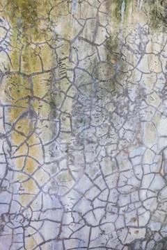 Texture of old concrete wall Stock Photos