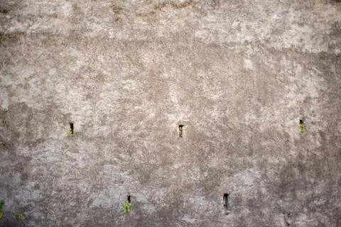 Texture of Old Concrete Wall with Small Holes with Green Grass. Stock Photos