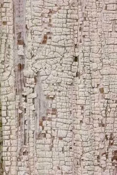 Texture of old cracked paint on a wooden board Stock Photos