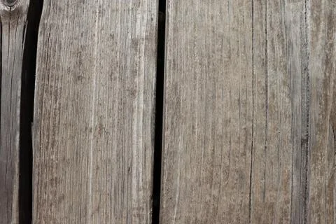 Texture of old cuted trunk Stock Photos