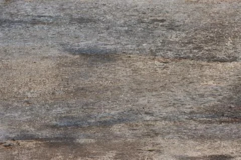 The texture of the old dried tree. Stock Photos