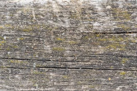 The texture of old dry weathered cracked wood, cracks along the fibers of log Stock Photos
