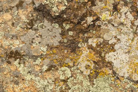 Texture of old granite covered with moss. Creative vintage background. Stock Photos