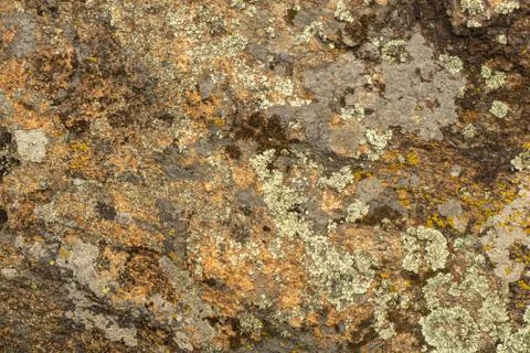Texture of old granite covered with moss. Creative vintage background. Foto stock