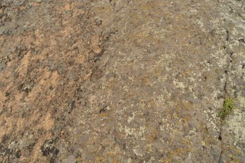Texture of old granite covered with moss. Creative vintage background. Stock Photos