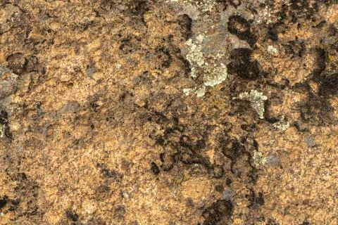 Texture of old granite covered with moss. Creative vintage background. Stock Photos