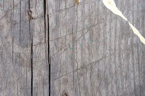 The texture of an old gray board covered with cracks Stock Photos