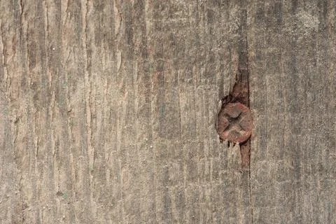 The texture of an old gray board covered with cracks Stock Photos