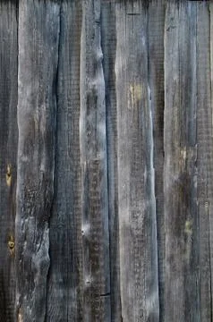 Texture of old gray boards. Vertical background. Stock Photos