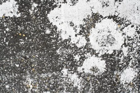 Texture of the old gray concrete wall Stock Photos