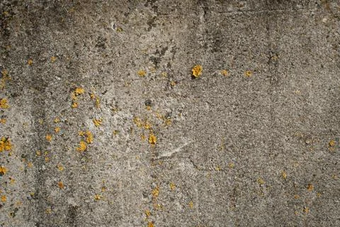Texture of old gray concrete wall Stock Photos