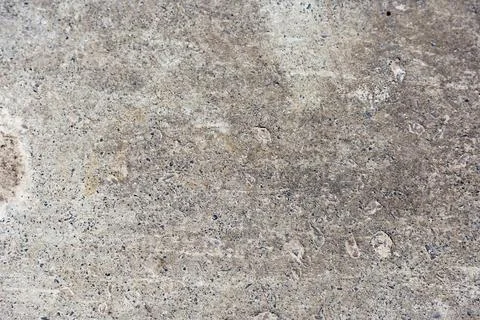 Texture of old gray concrete wall for background. Cement wall of abstract gra Stock Photos