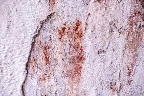 Texture of old gray concrete wall for background Stock Photos