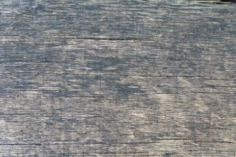 Texture of an old gray plank Stock Photos