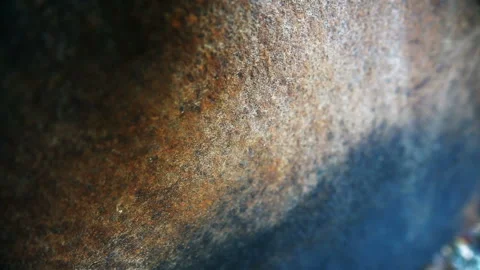 Texture of old iron sheet Stock-Footage 103978487