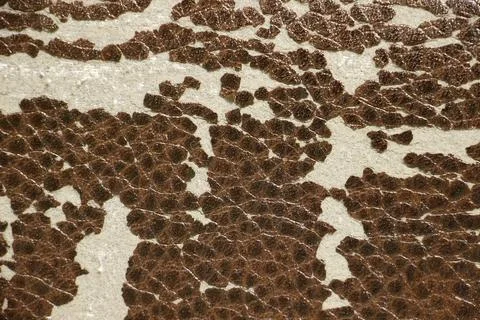 Texture of old leatherette close up Stock Photos