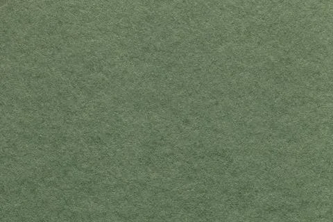 Texture of old light green paper background, closeup. Structure of dense oliv Stock Photos