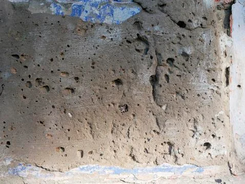 The texture of the old light wall with a sprinkled plaster Stock Photos