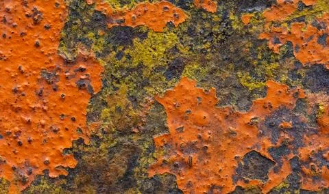 The texture of the old orange paint Stock Photos