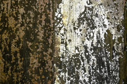 Texture with old paint shabby Stock Photos