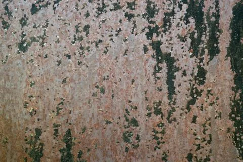 Texture with old paint shabby Stock Photos