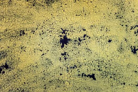 Texture with old paint shabby Stock Photos