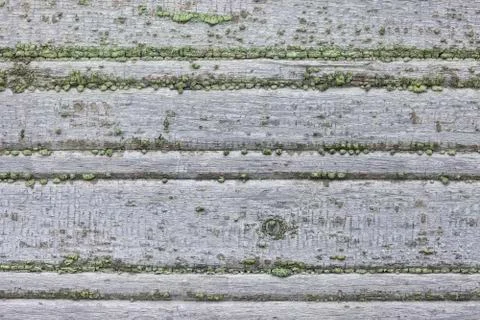 Texture of old paint on a wooden board Stock Photos