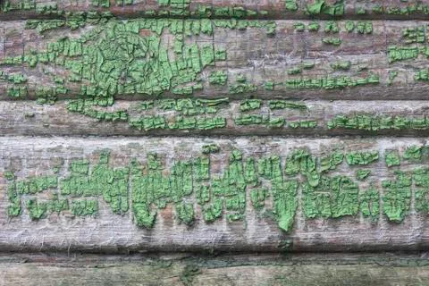 Texture of old paint on a wooden board Stock Photos