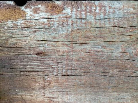 Texture of old painted shabby rustic wooden fence made of planks, with rusty  Stock Photos