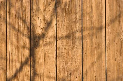 Texture of old  painted wood background closeup.  empty template Stock Photos