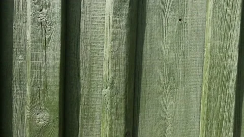 Texture of old painted wood. Stock Footage 196163075