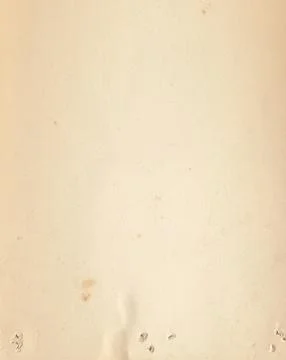 Texture old paper 스톡 사진