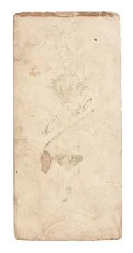 Texture old paper Stock Photos