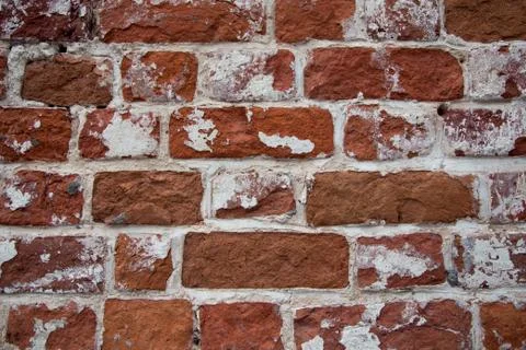Texture of old red brick wall. Stock Photos