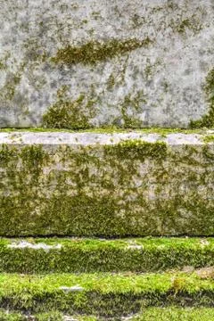 Texture of old red granite stone wall with layered green moss Foto stock