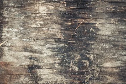 The texture of an old rotten board Stock Photos