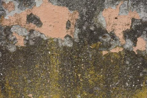 Texture of old rustic wall covered with Terracotta stucco, background photo Stock Photos