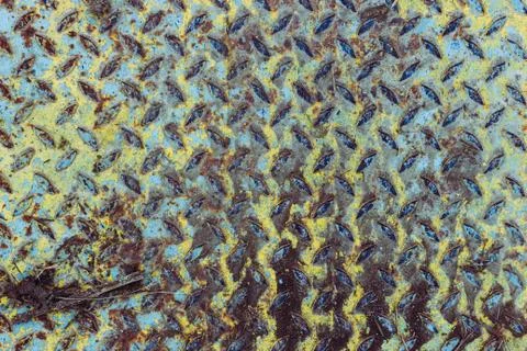 Texture of an old rusty walkway. Фото
