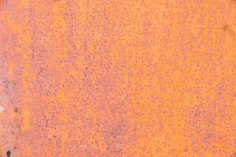 Texture of the old rusty wall of red color Stock Photos