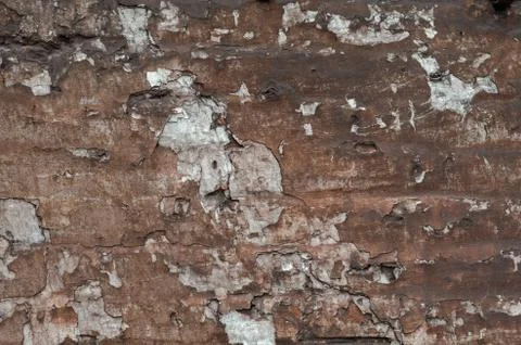 Texture of old shabby wall Stock Photos