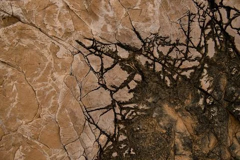 Texture of old stone with beautiful pattern of cracks on the surface. Foto stock