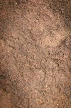 Texture of old stone brown Stock Photos