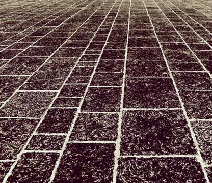 Texture of the old stone paving Stock Photos