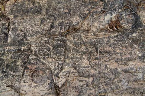 Texture of old stone. Top view. Stock Photos