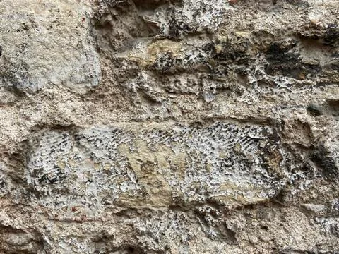A texture of old stone wall of ancient castle. Ancient stone wall. Stock Photos