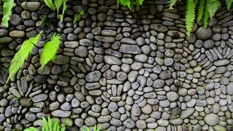 Texture of old stone wall covered green moss in Indonesia Stock-Footage 72260062