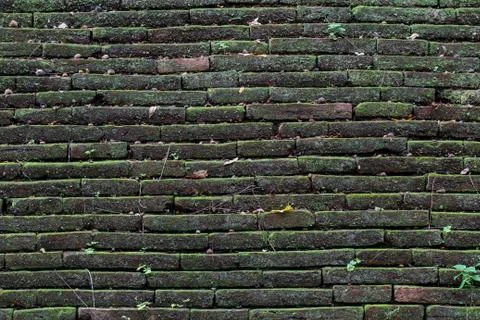 Texture of old stone wall covered green moss Stock Photos
