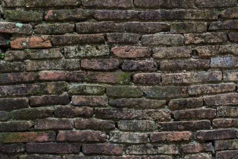 Texture of old stone wall covered green moss Foto stock